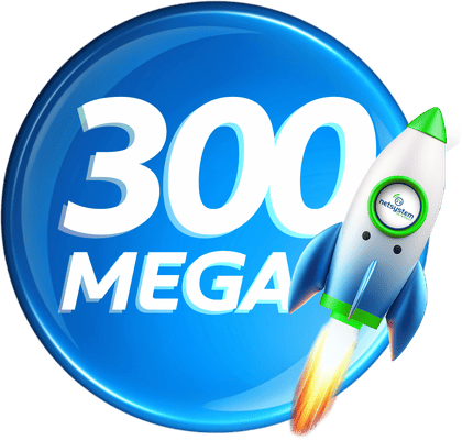 300 MEGA