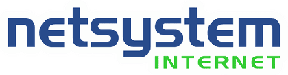 NETSYSTEM Internet